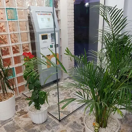罗西旅馆 2* 拉雷多